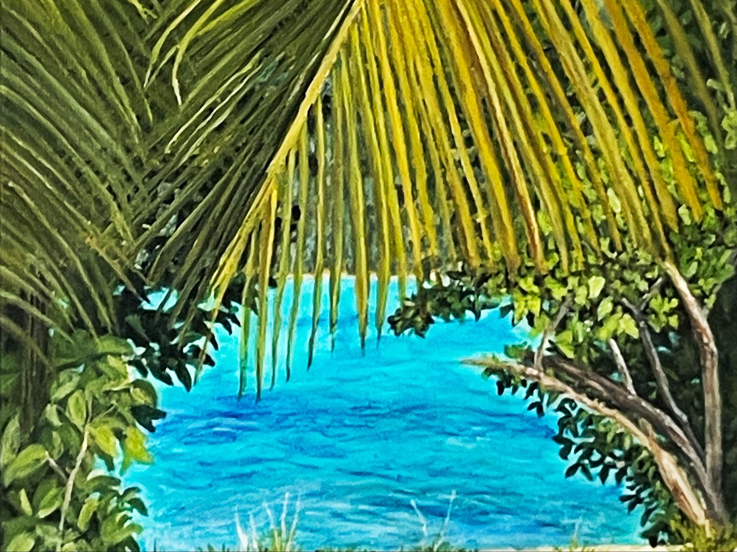 Aquanette Y. Chinnery - Palm Fringe