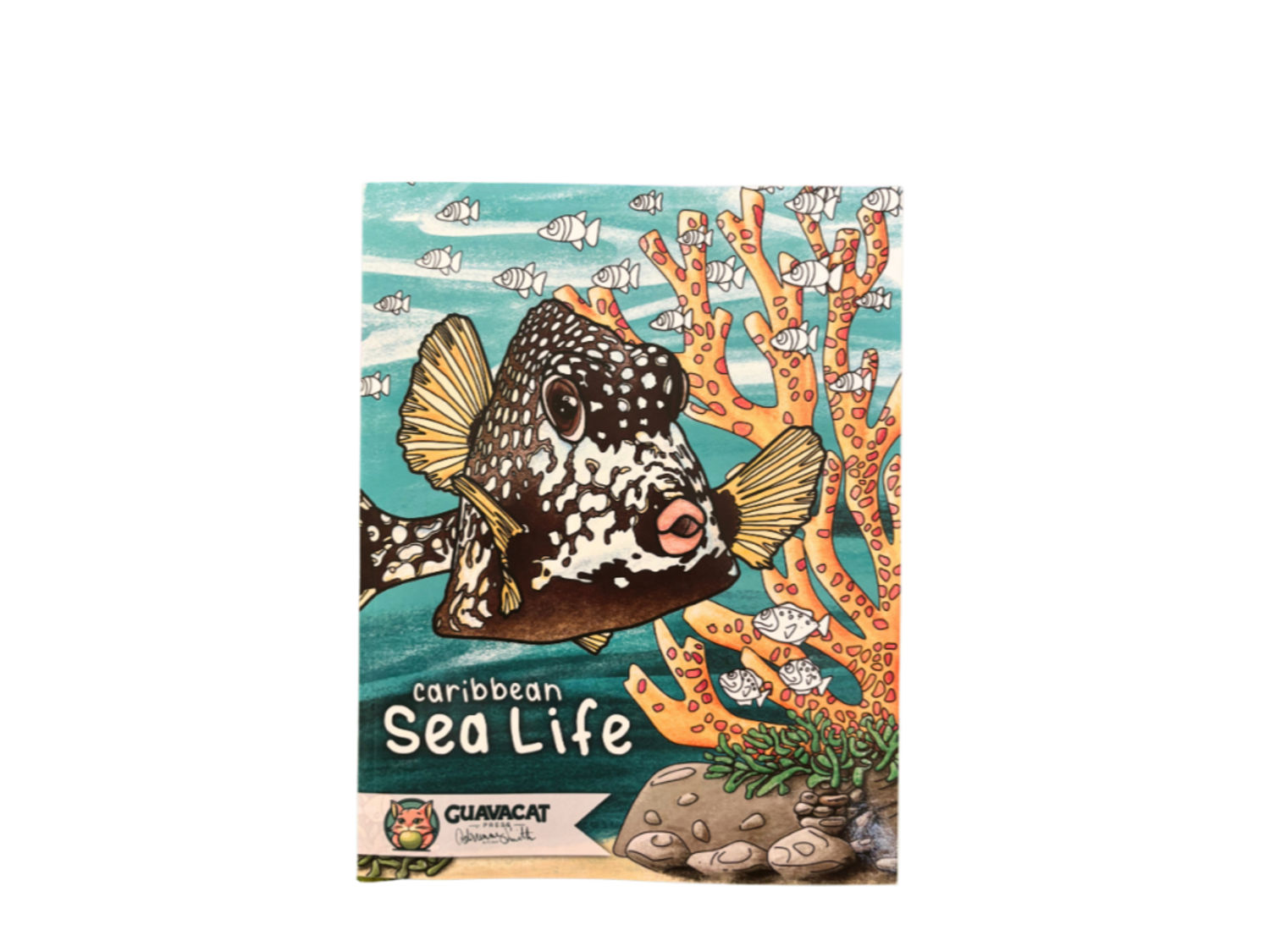 Adrienne Smith - Caribbean Sea Life