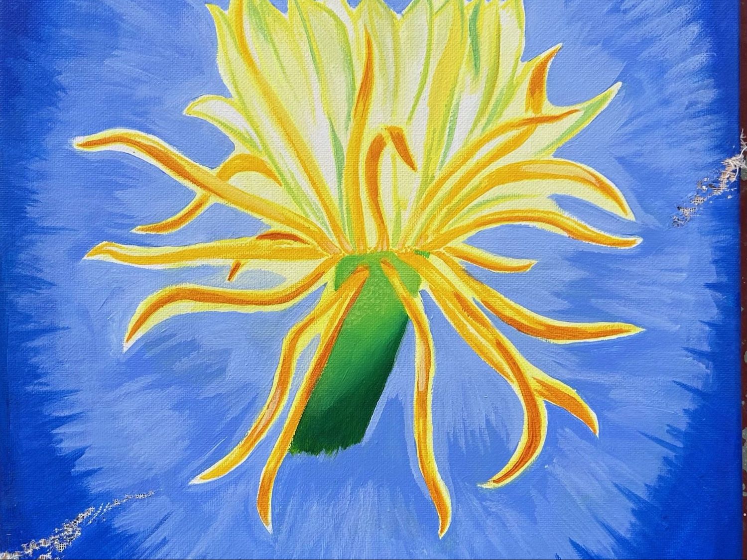 Angelina Springer - Night Blooming Cereus Reaching 